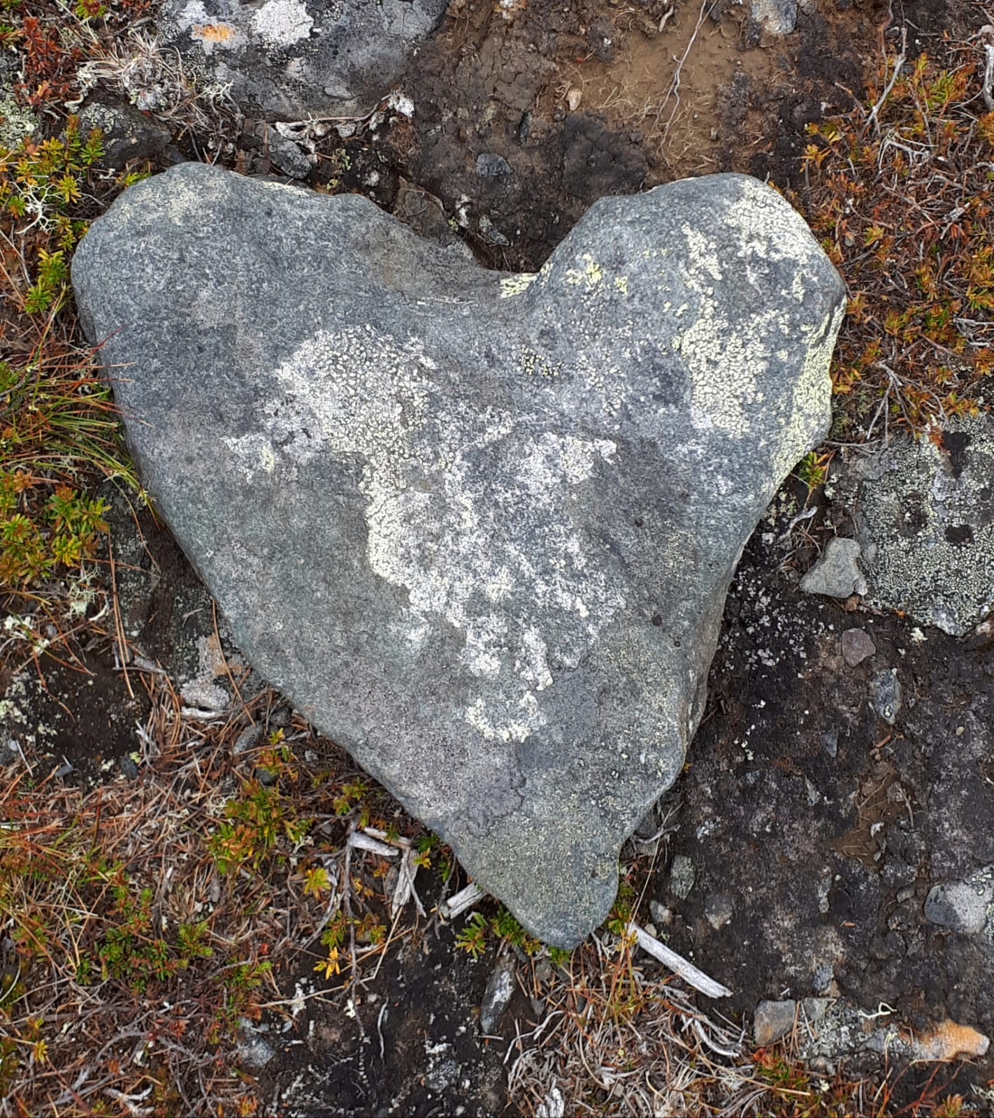 Sydämenmuotoinen kivi metsäpolulla